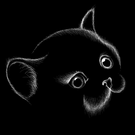 The  cat illustration for T-shirt design or outwear. Hunting style cat background.のイラスト素材