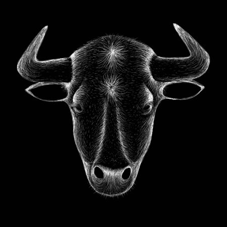 The Vector logo bull for T-shirt design or outwear. Hunting style bull background.のイラスト素材