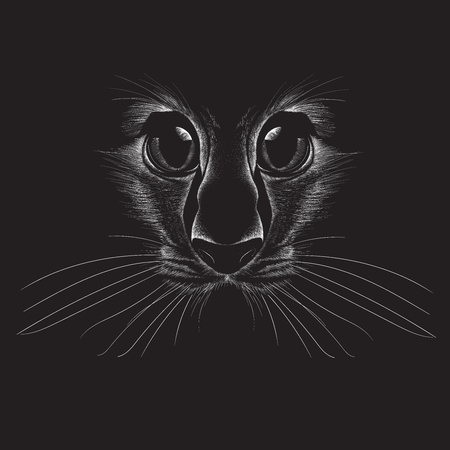 The Vector cat for T-shirt design or outwear. Hunting style cat background.のイラスト素材