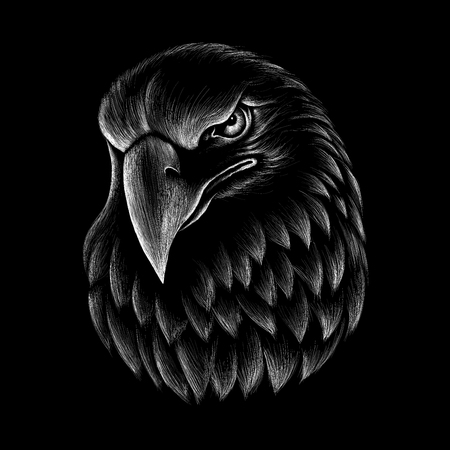 The Vector eagle for T-shirt design or outwear. Hunting style eagle background.のイラスト素材