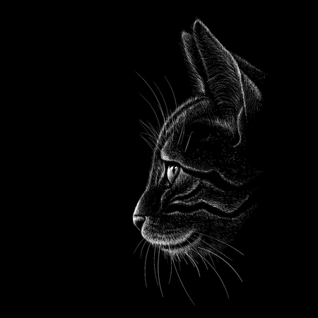 The Vector cat for T-shirt design or outwear. Hunting style cat background.のイラスト素材
