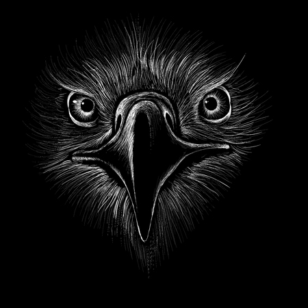 The Vector eagle for T-shirt design or outwear. Hunting style eagle background.のイラスト素材