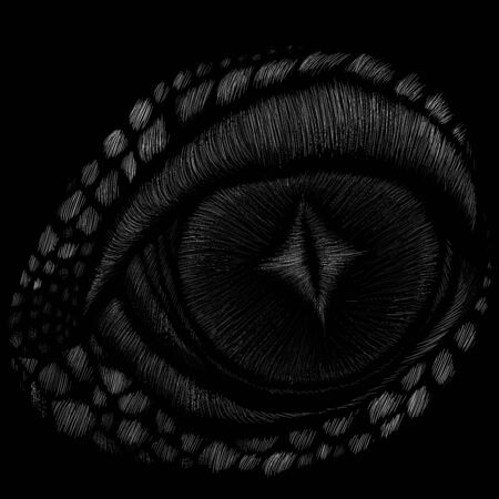 dragon  or dinosaur on black cloth for T-shirt print  design or outwear.  Hunting style reptile background. This drawing would be nice to make on the black fabric or canvasのイラスト素材