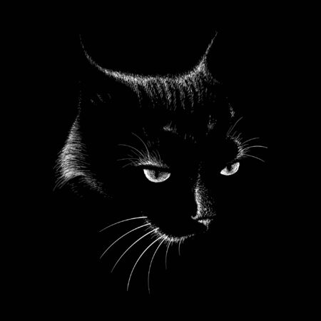 The Vector cat for tattoo or T-shirt design or outwear.  Cute print style cat background. This drawing would be nice to make on the black fabric or canvasのイラスト素材