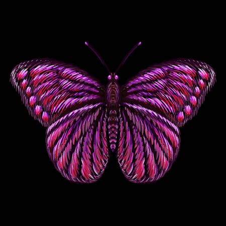 The Vector butterfly for tattoo or T-shirt design or outwear.  Cute print style butterfly background. This drawing is for black fabric or canvasのイラスト素材