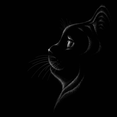 The Vector cat for tattoo or T-shirt design or outwear. Cute print style cat background. This drawing would be nice to make on the black fabric or canvas.のイラスト素材