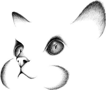 The Vector cat for tattoo or T-shirt design or outwear. Cute print style cat background. This drawing would be nice to make on the black fabric or canvas.のイラスト素材