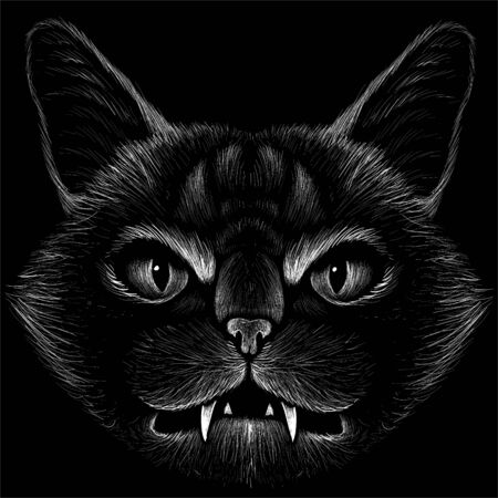 The Vector cat for tattoo or T-shirt design or outwear. Cute print style cat background. This drawing would be nice to make on the black fabric or canvas.のイラスト素材