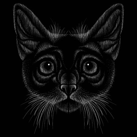 The Vector cat for tattoo or T-shirt design or outwear. Cute print style cat background. This drawing would be nice to make on the black fabric or canvas.のイラスト素材