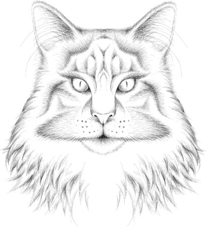 The Vector cat for tattoo or T-shirt design or outwear. Cute print style cat background. This drawing would be nice to make on the black fabric or canvas.のイラスト素材