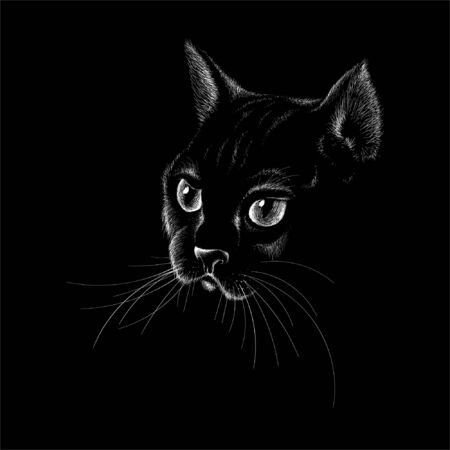 The Vector cat for tattoo or T-shirt design or outwear. Cute print style cat background. This drawing would be nice to make on the black fabric or canvas.のイラスト素材