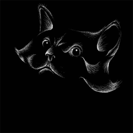 The Vector cat for tattoo or T-shirt design or outwear. Cute print style cat background. This drawing would be nice to make on the black fabric or canvas.のイラスト素材