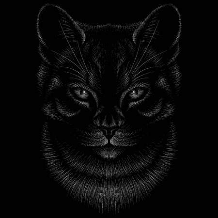 The Vector cat for tattoo or T-shirt design or outwear.  Cute print style cat background. This drawing would be nice to make on the black fabric or canvasのイラスト素材