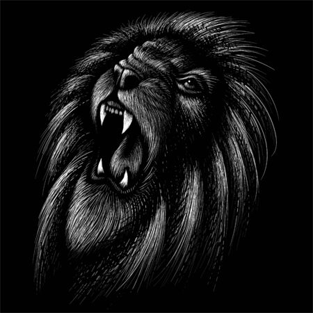 The Vector lion for tattoo or T-shirt print design or outwear.  Hunting style lions background. This drawing would be nice to make on the black fabric or canvasのイラスト素材