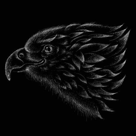 The Vector eagle for tattoo or T-shirt design or outwear.  Hunting style eagle background.