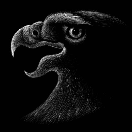 eagle for tattoo or T-shirt design or outwear. Hunting style eagle background. This drawing is for black fabric or canvas.の素材 [FY310137851857]