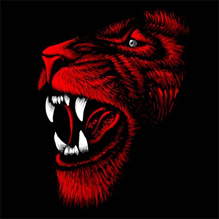 The Vector lion for tattoo or T-shirt print design or outwear.  Hunting style lions background. This drawing would be nice to make on the black fabric or canvasのイラスト素材