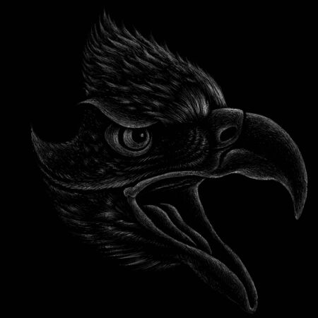The Vector eagle for tattoo or T-shirt design or outwear.  Hunting style eagle background.のイラスト素材