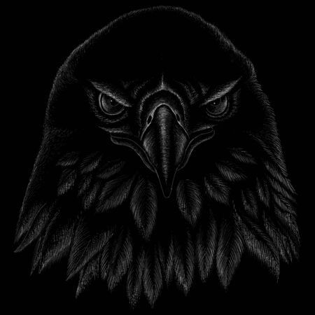The Vector eagle for tattoo or T-shirt design or outwear.  Hunting style eagle background.