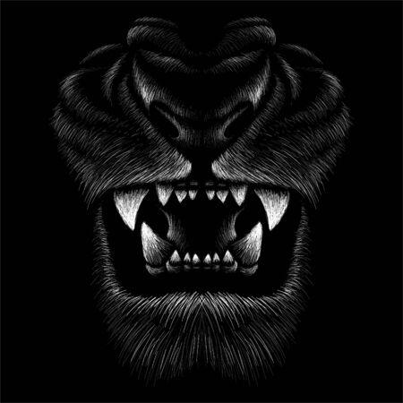 The Vector lion for tattoo or T-shirt print design or outwear.  Hunting style lions background. This drawing would be nice to make on the black fabric or canvasのイラスト素材