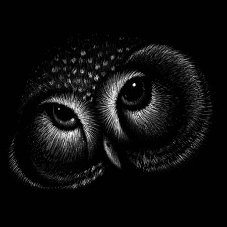 The Vector eagle for tattoo or T-shirt design or outwear.  Hunting style eagle background.のイラスト素材