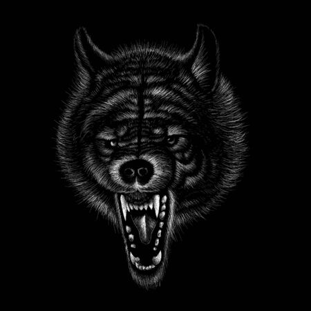 dog  or wolf for tattoo or T-shirt design or outwear.  Cute print style dog  or wolf  background.