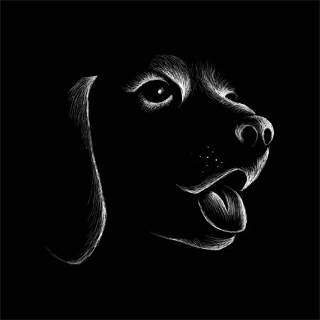 The Vector dog for tattoo or T-shirt design or outwear. Cute print style dog or puppy background.のイラスト素材