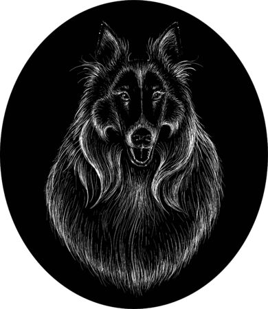 The Vector Collie dog for T-shirt design or outwear. Hunting dog style background.のイラスト素材