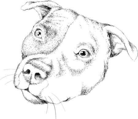 The Vector dog or wolf for tattoo or T-shirt design or outwear. Cute print style dog or wolf background.のイラスト素材