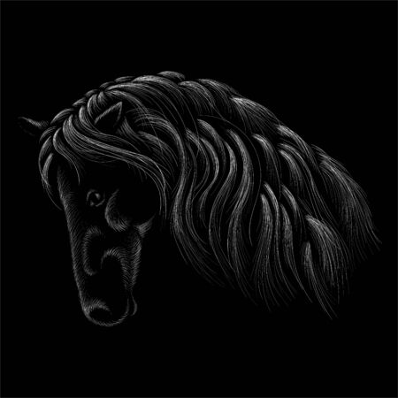 The Vector horse for T-shirt print  design or outwear. Hunting style horse background.のイラスト素材