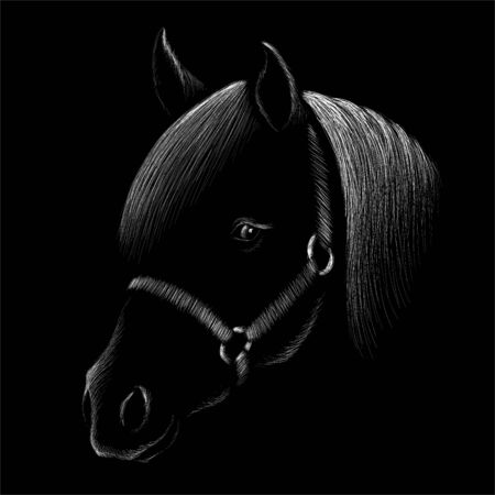The Vector horse for T-shirt print  design or outwear. Hunting style horse background.のイラスト素材