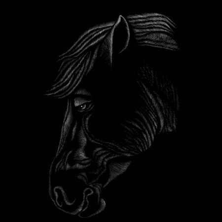 The Vector horse for T-shirt print  design or outwear. Hunting style horse background.のイラスト素材