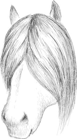 The Vector horse for T-shirt print  design or outwear. Hunting style horse background.のイラスト素材