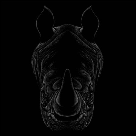 The Vector rhinoceros for T-shirt design or outwear.  Hunting tattoo rhinoceros style backgroundのイラスト素材