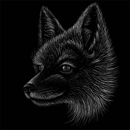 The Vector fox print for T-shirt design or outwear. Hunting style fox backgroundのイラスト素材