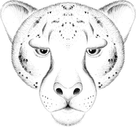 The Vector animal for tattoo or T-shirt  print design or outwear. Hunting style angry animal head backgroundのイラスト素材