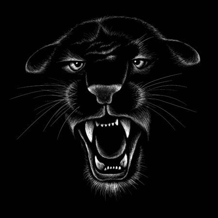 The Vector animal for tattoo or T-shirt  print design or outwear. Hunting style angry animal head backgroundのイラスト素材