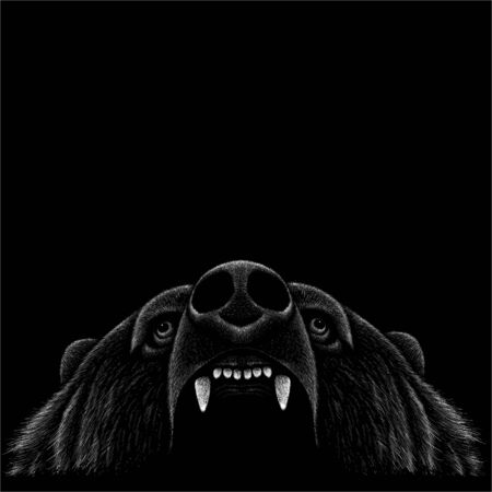 The Vector bear for T-shirt design or outwear print. Hunting style bear background.のイラスト素材