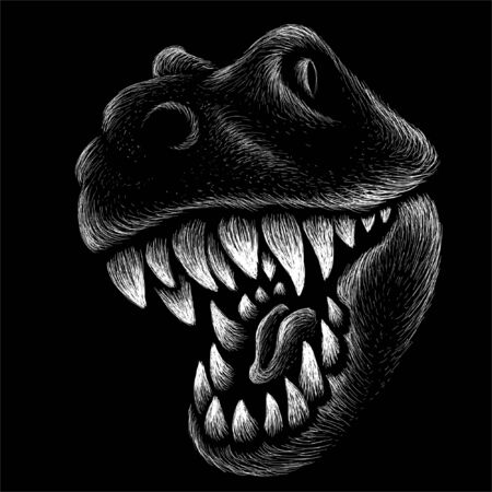 dragon  or dinosaur on black cloth for T-shirt print  design or outwear.  Hunting style reptile background. This drawing would be nice to make on the black fabric or canvasのイラスト素材