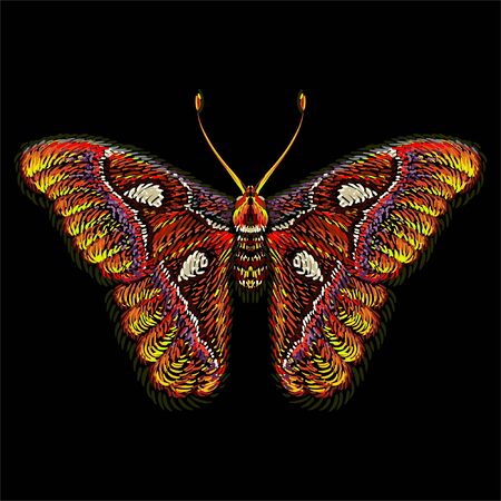 butterfly for tattoo or T-shirt design or outwear.  Cute print style butterfly background. This drawing is for black fabric or canvasのイラスト素材