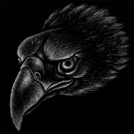 The Vector logo eagle for tattoo or T-shirt design or outwear.  Hunting style eagle background. This hand drawing is for black fabric or canvasのイラスト素材