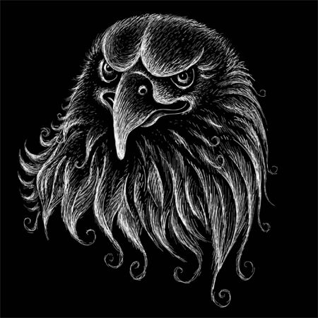 The Vector logo eagle for tattoo or T-shirt design or outwear.  Hunting style eagle background. This drawing is for black fabric or canvasのイラスト素材