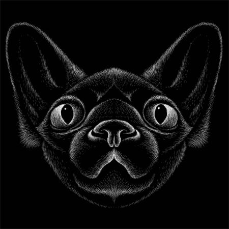 The Vector logo cat for tattoo or T-shirt design or outwear.  Cute print style cat background. This hand drawing would be nice to make on the black fabric or canvasのイラスト素材