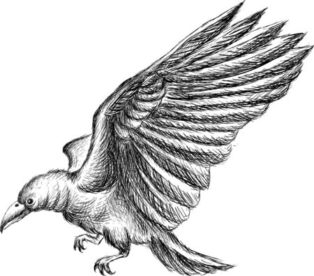 The Vector logo eagle for tattoo or T-shirt design or outwear.  Hunting style eagle background. This hand drawing is for black fabric or canvas.のイラスト素材