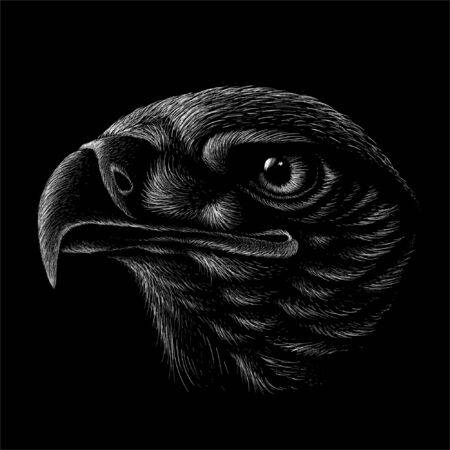The Vector logo eagle for tattoo or T-shirt design or outwear.  Hunting style eagle background. This hand drawing is for black fabric or canvasのイラスト素材