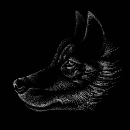 dog  or wolf for tattoo or T-shirt design or outwear.  Cute print style dog  or wolf  background.