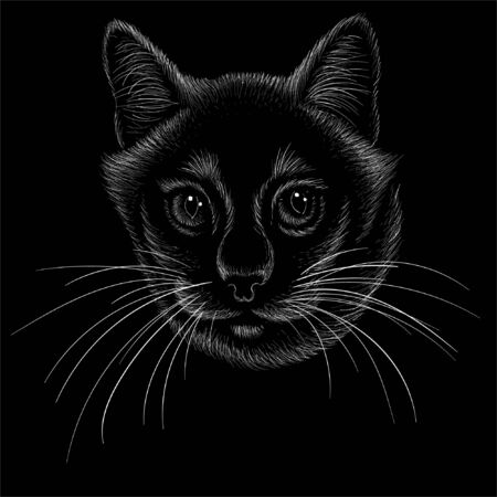 cat for tattoo or T-shirt design or outwear.  Cute print style cat background. This hand drawing would be nice to make on the black fabric or canvasのイラスト素材