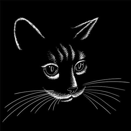 The Vector logo cat for tattoo or T-shirt design or outwear. Cute print style cat background. This hand drawing would be nice to make on the black fabric or canvasのイラスト素材