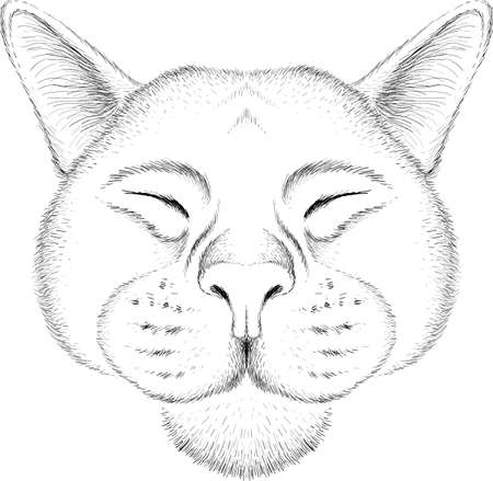 Cat vector art illustration T-shirt apparel tattoo design or outwear. Cute print style kitten background. This hand drawing would be nice to make on the black fabric or canvas.のイラスト素材