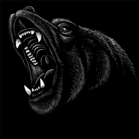 The Vector bear for T-shirt design or outwear. Hunting style bear background. This drawing would be nice to make on the black fabric or canvasのイラスト素材